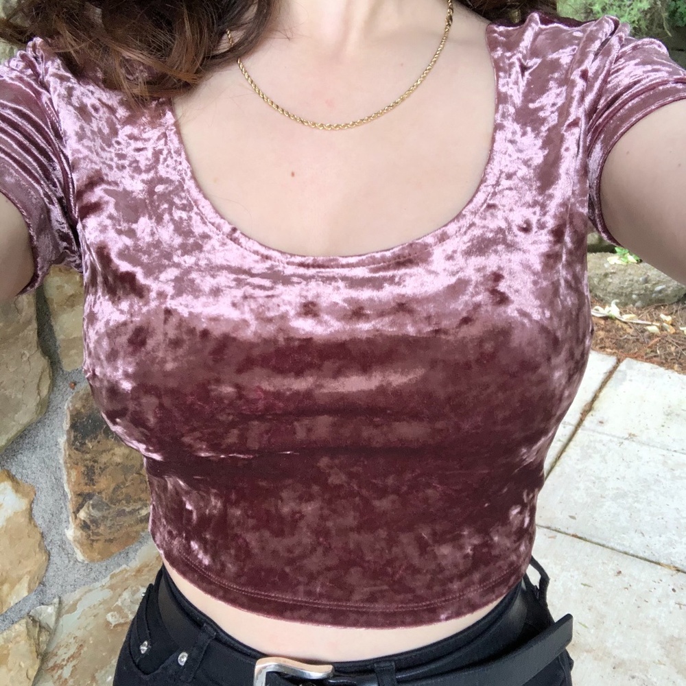 NWOT Crushed Velvet Crop Top, Size S